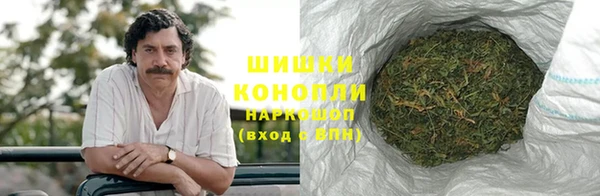 шишки Алексеевка