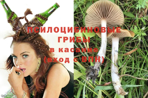 прущая мука Алзамай