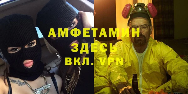 шишки Алексеевка