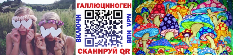 Галлюциногенные грибы мицелий  Амурск 